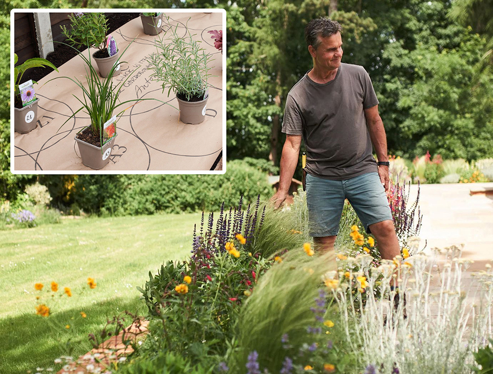Garden Borders in a Box with Gardens On A Roll
