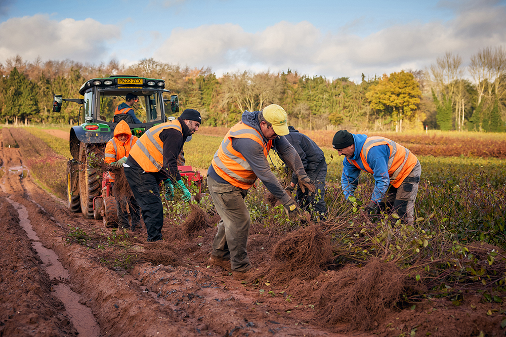 Commercial horticulture grown for innovation and sustainability