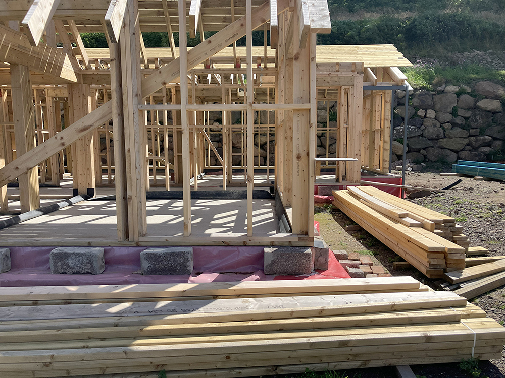 Rooted in expertise: Filros Timber Consultancy